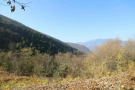 Продается Земля, Сельскохозяйственные, Itsa