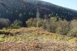 Продается Земля, Сельскохозяйственные, Itsa