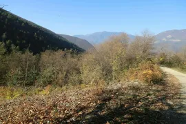 Продается Земля, Сельскохозяйственные, Itsa