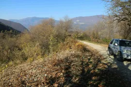 იყიდება მიწის ნაკვეთი, სასოფლო - სამეურნეო, იწა