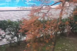 იყიდება ბინა, 1 ოთახიანი, ახალი აშენებული, ბათუმი