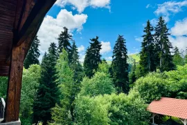 Daily Rent, 4 Room, Borjomi , Bakuriani