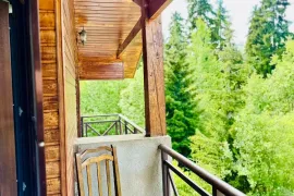 Daily Rent, 4 Room, Borjomi , Bakuriani