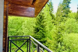 Daily Rent, 4 Room, Borjomi , Bakuriani