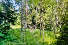 Daily Rent, 4 Room, Borjomi , Bakuriani