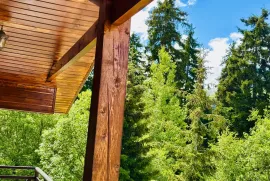 Daily Rent, 4 Room, Borjomi , Bakuriani