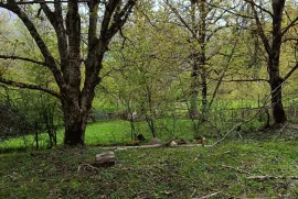 Продается Земля, Сельскохозяйственные, Уцера