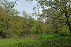 Продается Земля, Сельскохозяйственные, Уцера