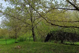 Продается Земля, Сельскохозяйственные, Уцера