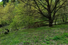 Продается Земля, Сельскохозяйственные, Уцера