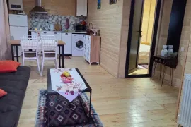 ქირავდება სახლი, 3 ოთახიანი, მცხეთა, ცხვარიჭამია