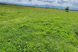 Land For Sale, Agricultural