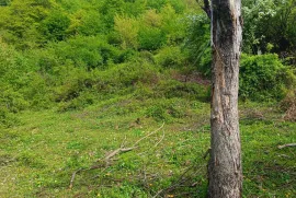 Продается Земля, Сельскохозяйственные, Уцера