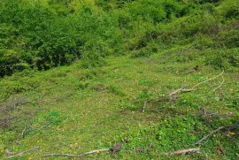 Продается Земля, Сельскохозяйственные, Уцера