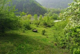 Продается Земля, Сельскохозяйственные, Уцера