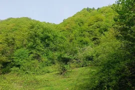 Продается Земля, Сельскохозяйственные, Уцера