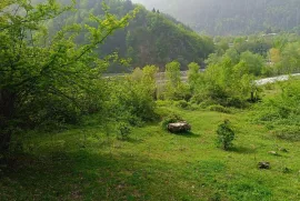 Продается Земля, Сельскохозяйственные, Уцера