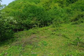 Продается Земля, Сельскохозяйственные, Уцера