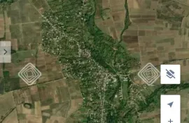 იყიდება მიწის ნაკვეთი, სასოფლო - სამეურნეო, მჭადიჯვარი