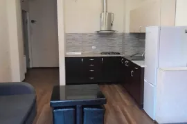 Аренда, 3 Kомнатная, Новостройка, Тбилиси, Диди Дигоми