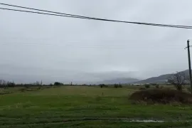 იყიდება მიწის ნაკვეთი, სასოფლო - სამეურნეო, წეროვანი