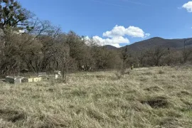 იყიდება მიწის ნაკვეთი, არა სასოფლო - სამეურნეო, ნავდარაანთკარი