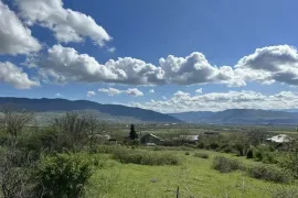 იყიდება მიწის ნაკვეთი, სასოფლო - სამეურნეო, ბიწმენდი