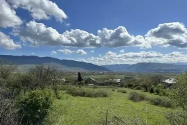 იყიდება მიწის ნაკვეთი, სასოფლო - სამეურნეო, ბიწმენდი