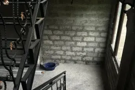 იყიდება სახლი, 8 ოთახიანი, ოზურგეთი, ოზურგეთი