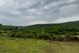 იყიდება მიწის ნაკვეთი, არა სასოფლო - სამეურნეო, უჯარმა