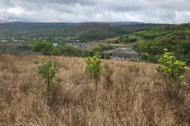 Land For Sale, Agricultural, Nagliantkari