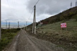 იყიდება მიწის ნაკვეთი, არა სასოფლო - სამეურნეო, ლისის ტბა