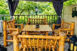 ქირავდება დღიურად, სასტუმრო, მახინჯაური