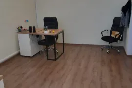 ქირავდება სახლი, 9 ოთახიანი, თბილისი, საბურთალო