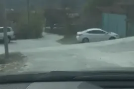 იყიდება მიწის ნაკვეთი, არა სასოფლო - სამეურნეო, წიწამური