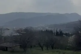 იყიდება მიწის ნაკვეთი, არა სასოფლო - სამეურნეო, წიწამური