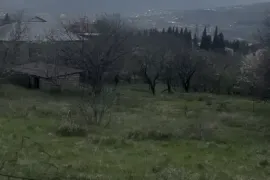 იყიდება მიწის ნაკვეთი, არა სასოფლო - სამეურნეო, წიწამური