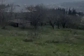 იყიდება მიწის ნაკვეთი, არა სასოფლო - სამეურნეო, წიწამური