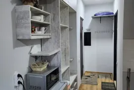 იყიდება ბინა, 1 ოთახიანი, ახალი აშენებული, ბორჯომი, ბაკურიანი