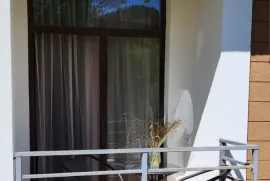 იყიდება ბინა, 1 ოთახიანი, ახალი აშენებული, ბორჯომი, ბაკურიანი