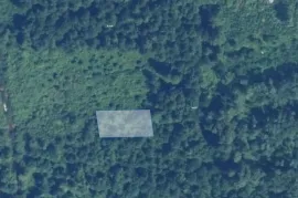 იყიდება მიწის ნაკვეთი, სასოფლო - სამეურნეო, შეკვეთილი