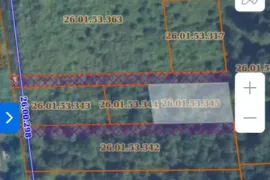 იყიდება მიწის ნაკვეთი, სასოფლო - სამეურნეო, შეკვეთილი