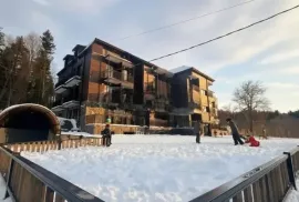 Продается квартира, 2 Kомнатная, Новостройка, Боржомский район, Бакуриани