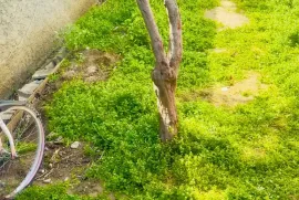 Продается Дом, 4 Kомнатная, Тбилиси, Село Глдани