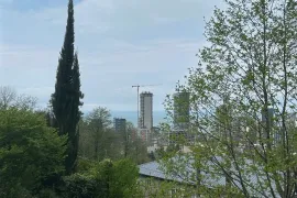 იყიდება სახლი, 8 ოთახიანი, ბათუმი, გონიო