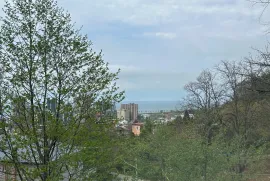 იყიდება სახლი, 8 ოთახიანი, ბათუმი, გონიო