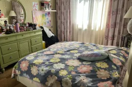 Apartment for sale, 4 Room, Old building, Tbilisi, Isani