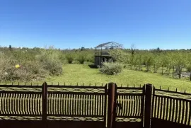 იყიდება მიწის ნაკვეთი, სასოფლო - სამეურნეო, ზუგდიდი