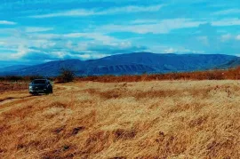 Land For Sale, Agricultural, Galavani