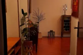 იყიდება ბინა, 4 ოთახიანი, ძველი აშენებული, თბილისი, თემქა